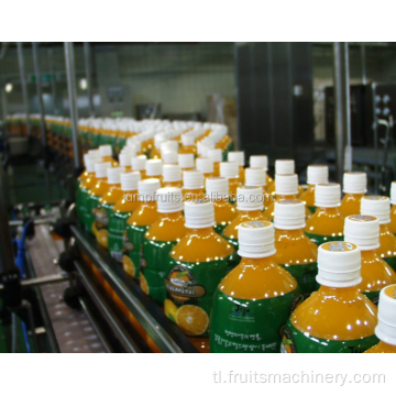pang -industriya na pinya juice/pulp processing machine